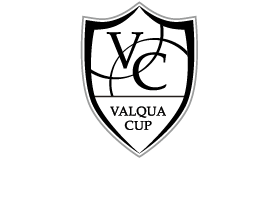 VALQUA CUP